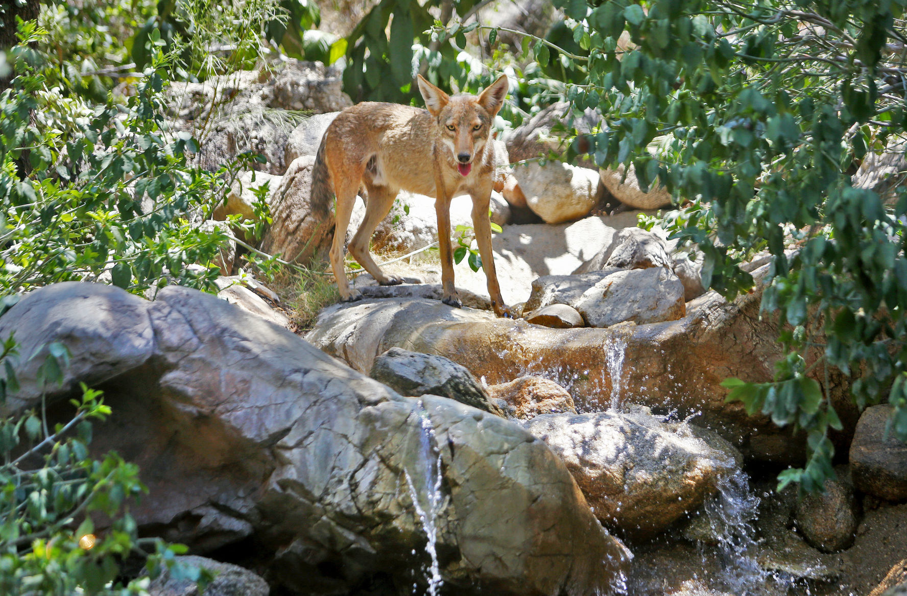 Rancho de Los Cerros
